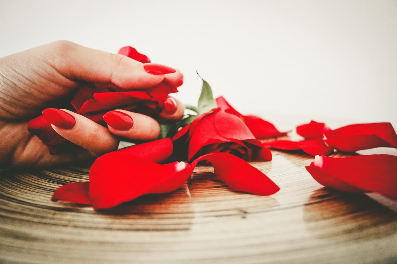A hand with glossy red nails resting among red rose petals